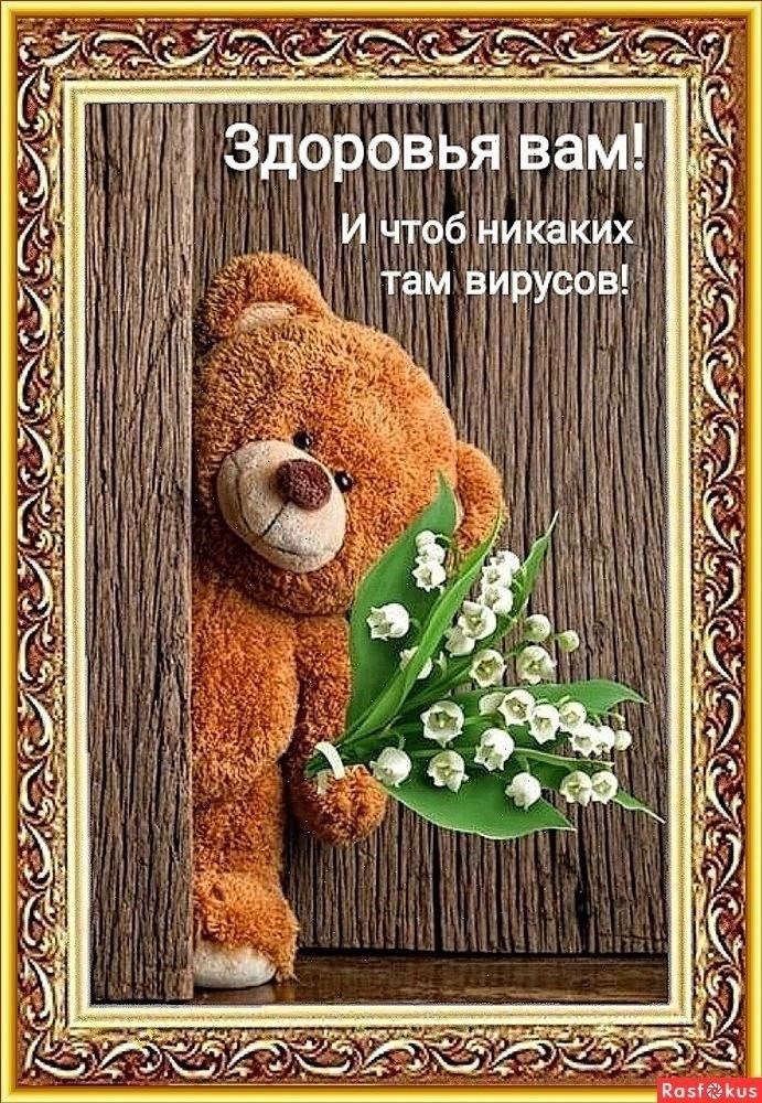 6. Фотография (по желанию)