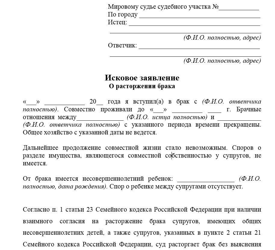 Подача заявления на развод без согласия другого супруга