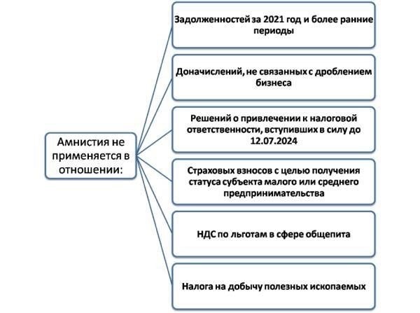 Сфера применения мер по облегчению долгового бремени для самозанятых лиц в рамках президентской налоговой амнистии