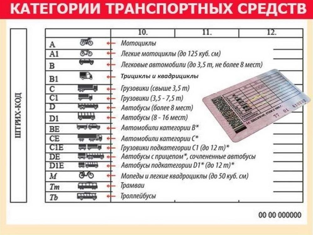 Виды водительских удостоверений для управления мопедом