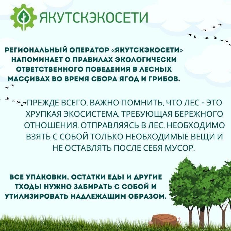 Что нужно знать о правилах сбора корма в лесу