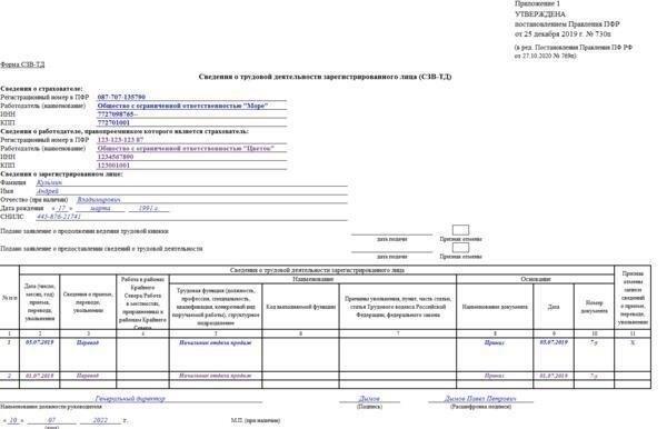 Электронный формат отчета СЗЗ-ТД