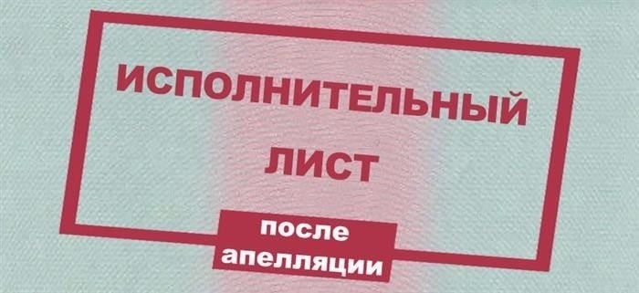 В какие сроки готовится апелляция?