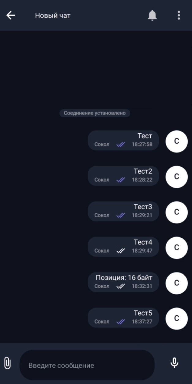 Изучение роли приложений для обмена сообщениями в современных военных операциях в США и Германии