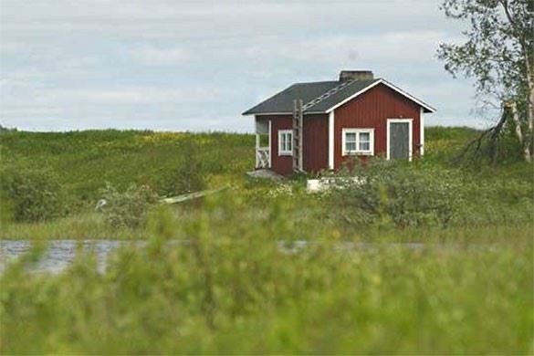 Россия напоминает гражданам об основаниях для принудительного изъятия садовых участков