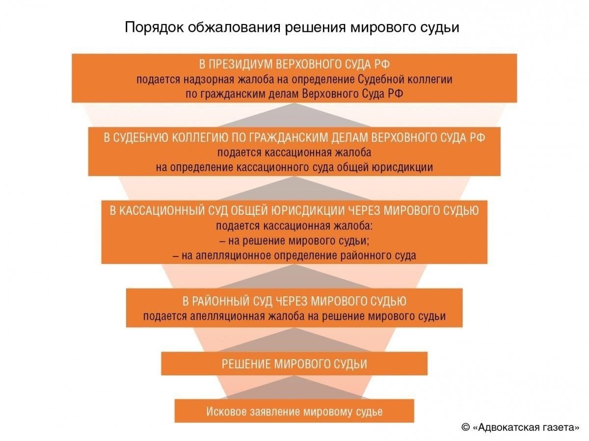 Как апелляционные суды влияют на судебные решения по гражданским спорам