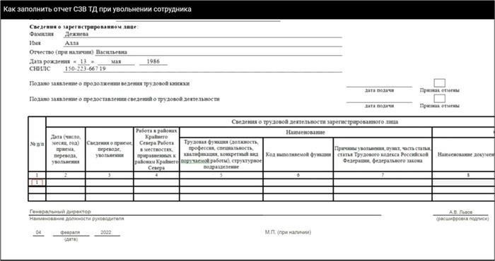 Как выглядит форма СЗЗ-ТД