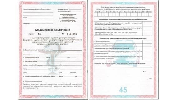 Как заменить утерянный водительский документ: Пошаговое руководство