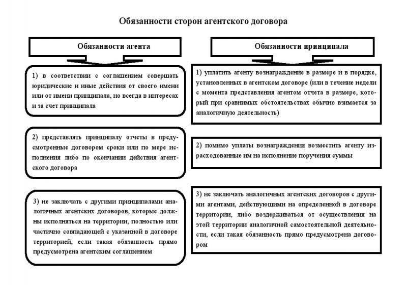 Каковы права и обязанности принципала и агента?