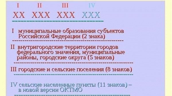 Сколько цифр содержит идентификационный номер?