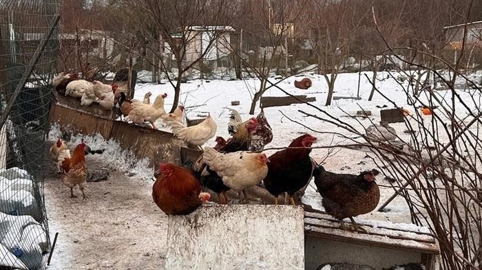 Статьи по теме