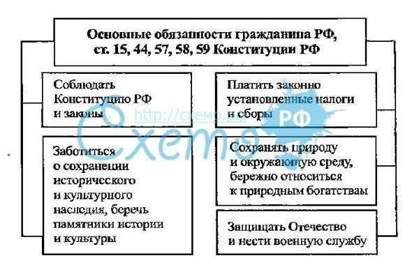 Определение степени ответственности: Правовые основы и процедуры