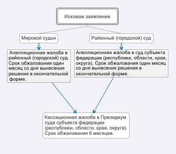 Основания для апелляции: Когда вы можете оспорить не подлежащее обжалованию решение?
