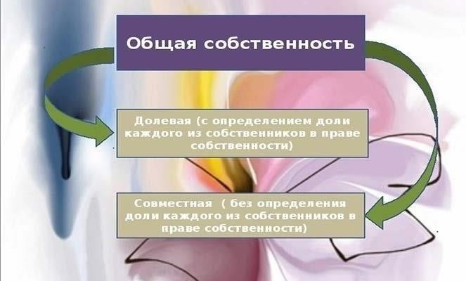 Основные различия между долевой и совместной собственностью