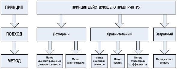 Оценка роли директоров и акционеров в возврате долгов