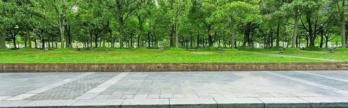 Строительство на землях общественного доступа в 2025 году