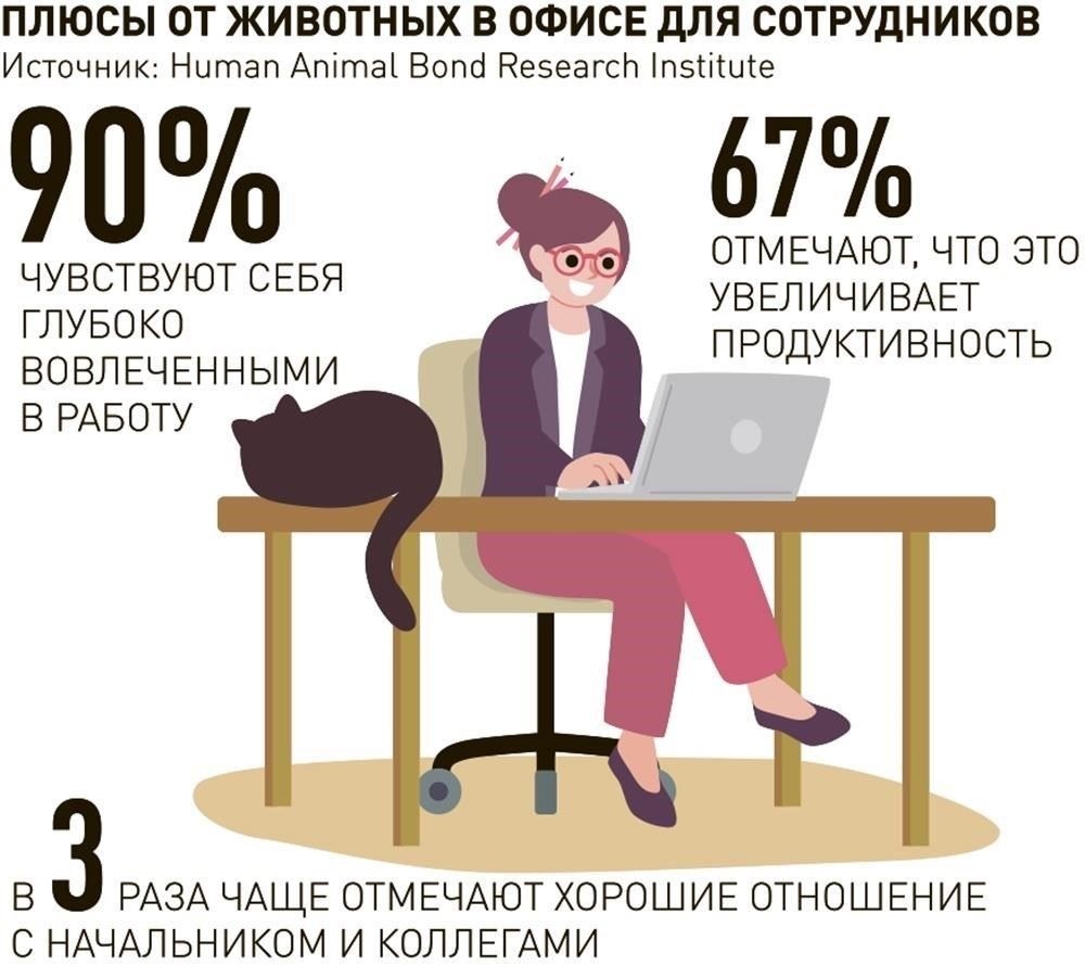 Приложение «Работа для всех» обеспечивает бесперебойную связь между соискателями и работодателями Рязанской области, включая кандидатов на военную службу. Мобильная платформа позволяет соискателям получить доступ к различным вакансиям, в том числе военным, контрактным, а также к должностям в различных отраслях экономики региона.