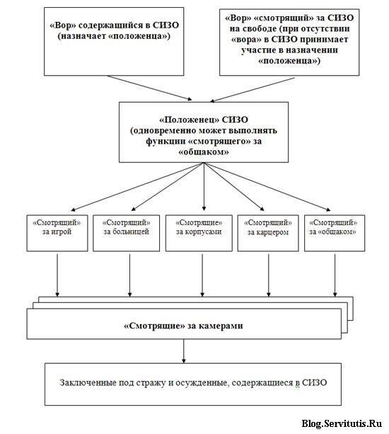 Процесс присвоения судейских званий сотрудникам низшего звена