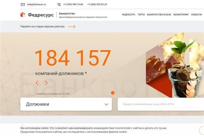 Как проверить информацию о банкротстве в EFRSB
