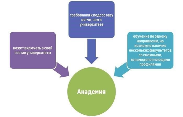 Академическая среда и специализация: Что отличает институты?