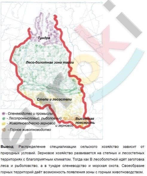Рязанская область, расположенная в западной части России, сочетает в себе историческую значимость и современную инфраструктуру. Вот основные детали, позволяющие понять ее географическое и административное устройство: