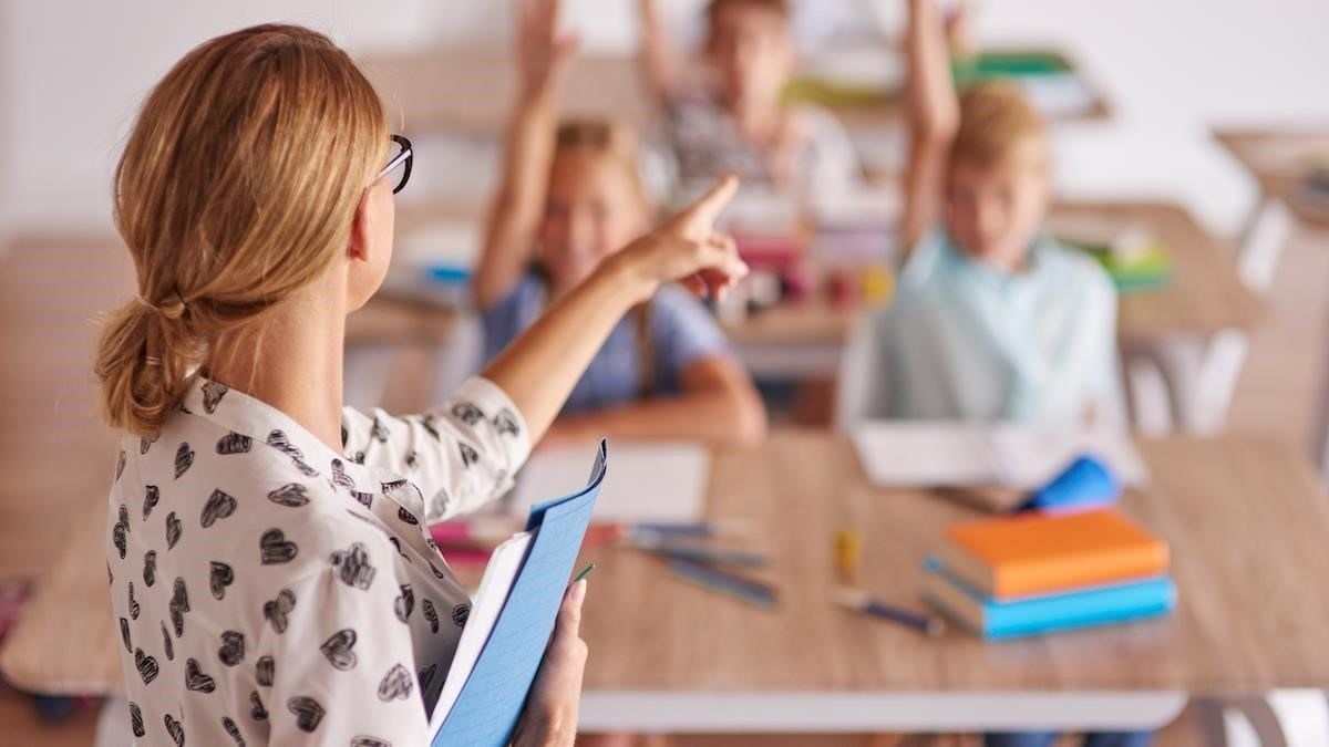 Роль преподавателей и учебных программ