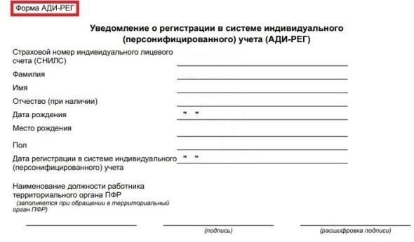 Шаги, которые необходимо предпринять сразу после утери документа СНИЛС