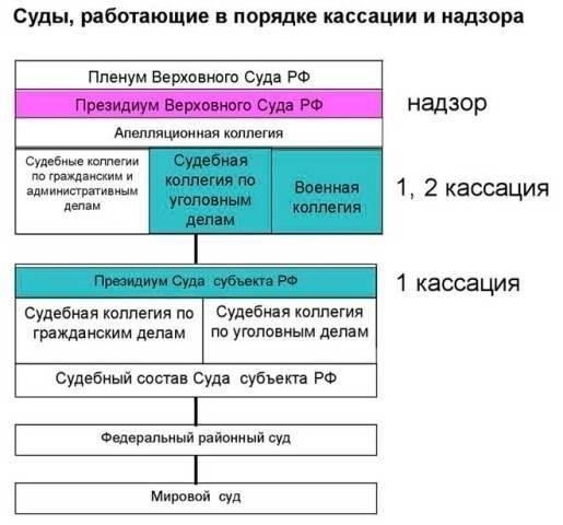 Шаги по подаче апелляции для оспаривания судебного решения