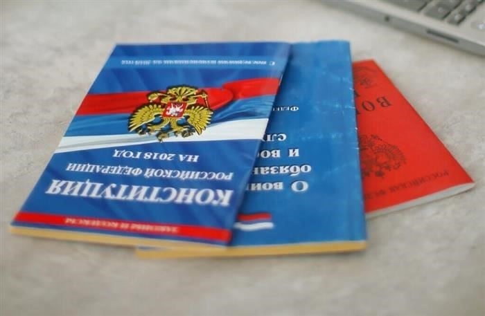 Каковы возможные результаты и будущие последствия применения статьи 19?