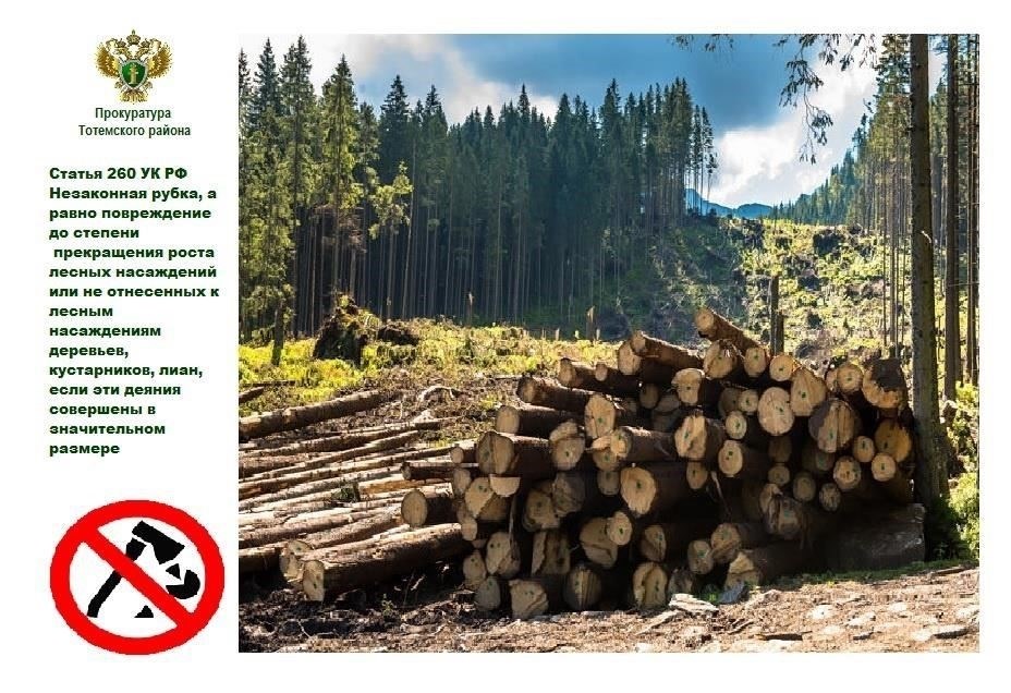 Строгий надзор за деятельностью, связанной с вырубкой леса и освоением земель, необходим для обеспечения соблюдения природоохранных норм. Любая деятельность, связанная с вырубкой деревьев, независимо от масштаба, подлежит надзору. Власти регулярно проводят проверки, чтобы выявить такие нарушения, как неправильная вырубка леса, нанесение ущерба лесным ресурсам или разрушение жизненно важных экосистем.