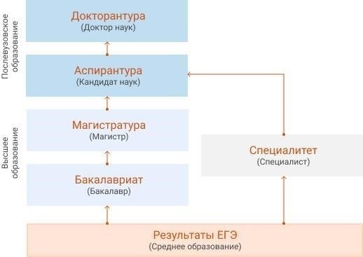 Требования к поступлению и процесс зачисления