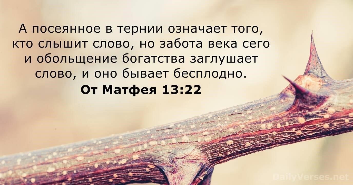 В такие моменты слова терпения и ободрения бесценны. Призывайте их не отвлекаться от поставленной цели и уверяйте, что трудные моменты постепенно сотрутся из памяти. Признайте их борьбу, не перегружая их ожиданиями, - это ключевой момент. Выразите благодарность за их мужество, зная, что каждый день приближает их к мирному завершению.