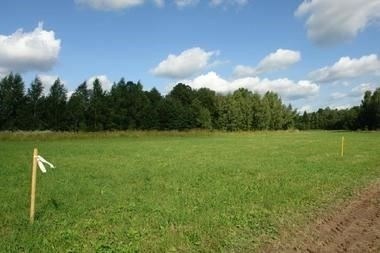 Что такое срочный отвод земли?