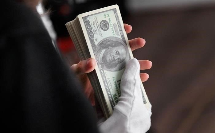 Централизация валютного контроля отложена до 2028 года