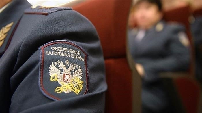 Порядок подачи иска в налоговый орган
