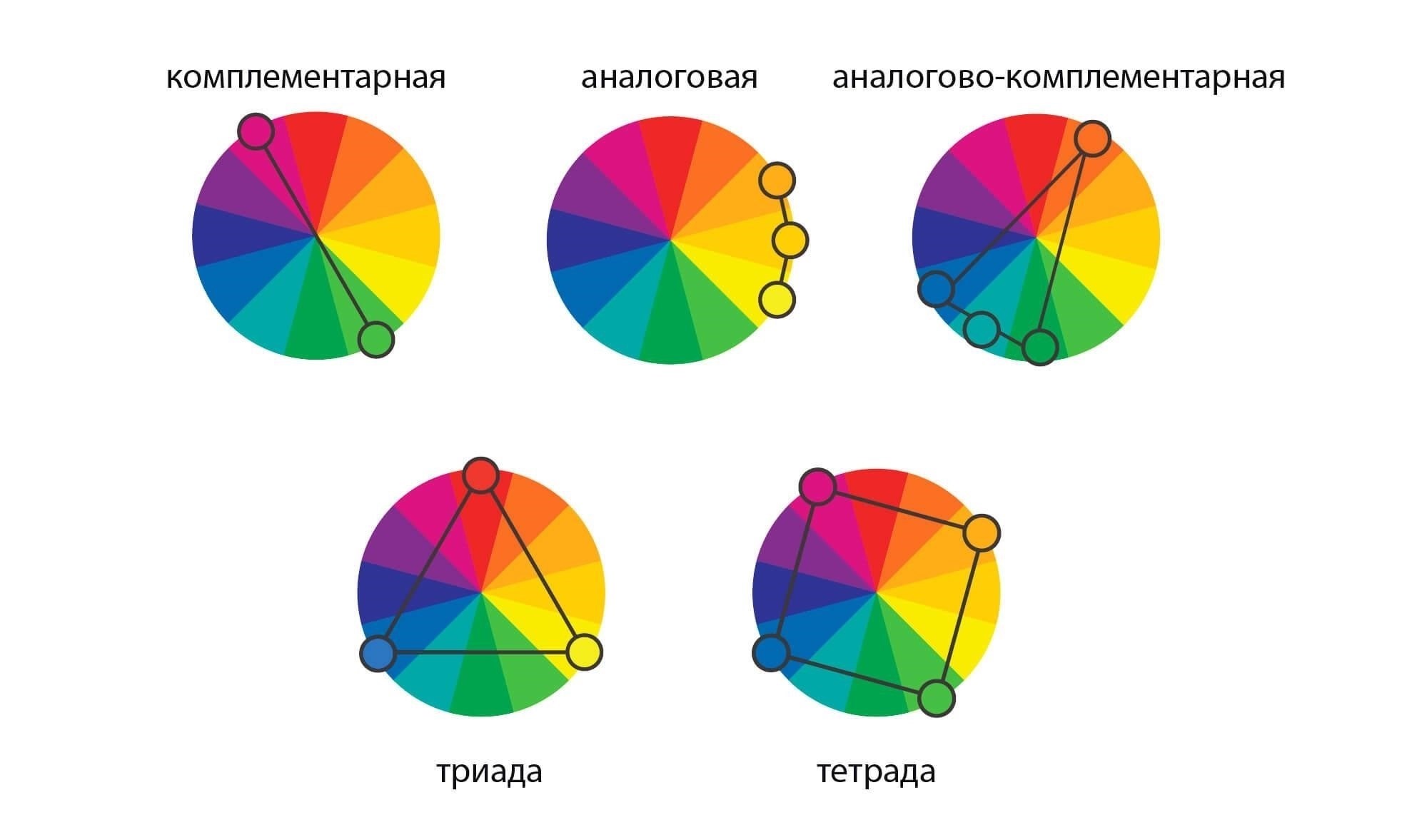 Жизнь в цветах: как придать индивидуальность с помощью цветовых схем